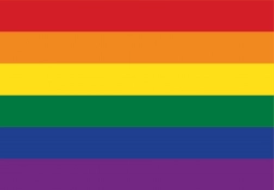 Grafika puzzel Pride Edition 1000 stukjes