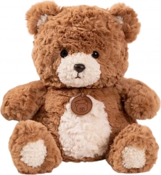Pluchen Teddybeer met Medaillon Bruin 25 cm