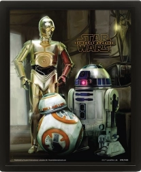 3D schilderij STAR WARS: Droids