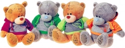 pluchen teddybeer in gekleurde hoodie 20 cm