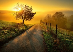 Ravensburger puzzel Ochtend in gouden stralen 1000 stukjes