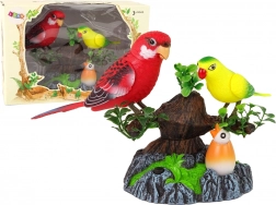 Zingende bewegende papegaaien op een kleurrijke boom