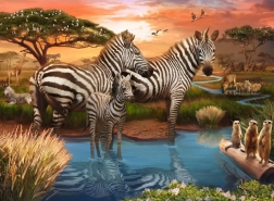 Puzzel Zebra’s 500 stukjes