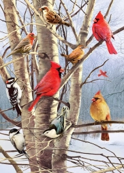 Puzzel Vogels in de Winter 1000 Stukjes