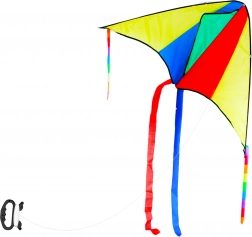 Kleurrijke vlieger 110 × 63 cm met handvat