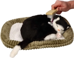 Adopteer mij ademende zwart-witte kat