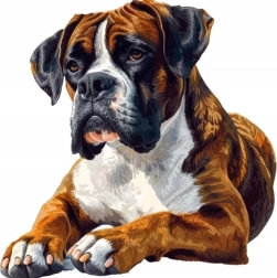 Diamond painting boxer 30 × 40 cm