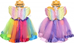 Carnavalsset voor een fee