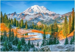 Puzzel nationaal park Mount Rainier 1000 stukjes