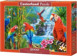Puzzel 2000 stukjes Parrot Meeting