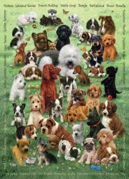 COBBLE HILL familiepuzzel puppy‑liefde – 350 stukjes