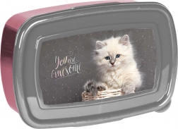 Paso broodtrommel met katje 750 ml