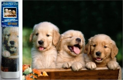 Diamantmozaïek - Drie honden