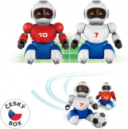 Afstandsbediende Robovoetbal