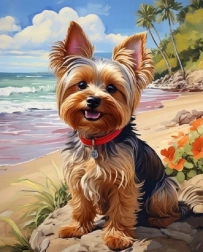 Norimpex Schilderen op nummer Yorkshire op het strand 40 × 50 cm