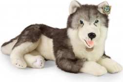 Pluchen huskyhond liggend 60 cm ECO‑FRIENDLY van RAPPA