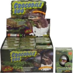 Ei met groeiende krokodil voor in water