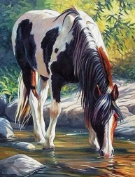 Diamond painting Paard in de rivier 30x40 cm