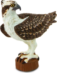 Safari Ltd. figuur zeearend