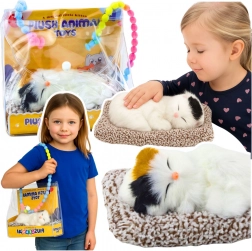 slapend katje op kussentje met zachte vacht en miauwgeluiden in draagtas