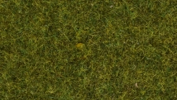 Noch statisch gras wilde weide, 9 mm