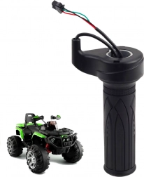 Gashendel voor elektrisch voertuig BBH3588