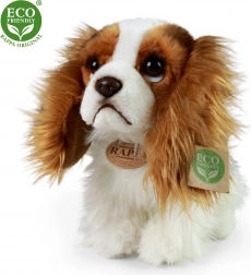 Pluchen hondje King Charles Spaniël 25 cm