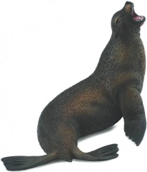 Zeeduivel manenrob Collecta