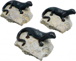 Decoratie hagedis - set van 3 stuks