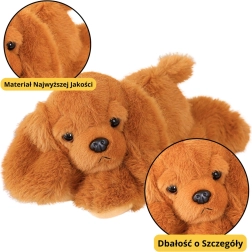 Pluchen hond Cocker Spaniel met verzwaarde pootjes bruin 30 cm