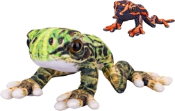 Pluche pijlgifkikker 22 cm
