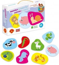 Alexander ontdekken voor de allerkleinsten – kleurkaartjes