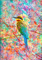 Puzzel Gelukkig vogeltje 1000 stukjes