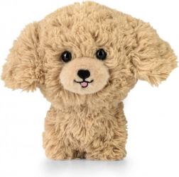 Knuffel TEDDY PETS – gouden poedel
