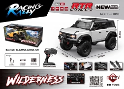 RC auto Wilderness 1:10 wit