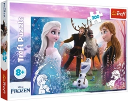 Puzzel 300 stukjes – magische tijd DISNEY FROZEN 2