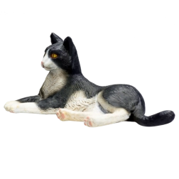 Zwart-witte liggende kat Mojo