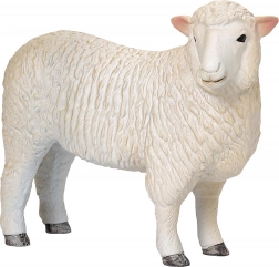 Realistische figuur van het Romney Marsh-schaap