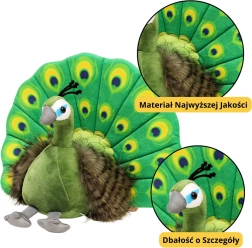 Pluchen speelgoed Elegante Pauw groen 30 cm