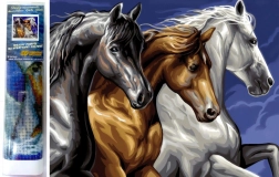 Diamond painting Wild trio 30 × 40 cm