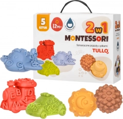 Sensorische voertuigen met balletjes 2-in-1 Tullo