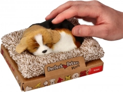 Blaffende beagle op een mandje