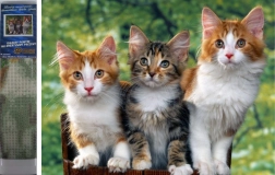 Norimpex Diamantschilderen Katten 30x40 cm