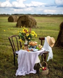 Diamantschilderen Ontbijt op het veld 30 × 40 cm