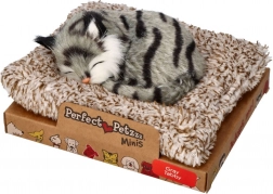 Perfect Petzzz kleine grijze gestreepte kater