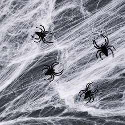 Witte Halloween-spinnenweb met spinnen