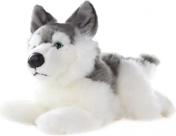 Pluchen husky 34 cm
