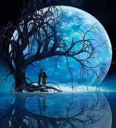 Diamantschilderij Maan boven het meer 30x40cm