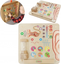 Masterkidz Edukatieve Borden Visuele Zintuigen Montessori