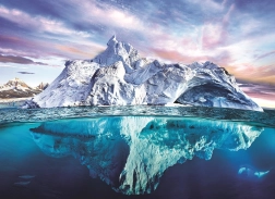 Puzzel EUROGRAPHICS Save Our Planet: Arctica 1000 stukjes
